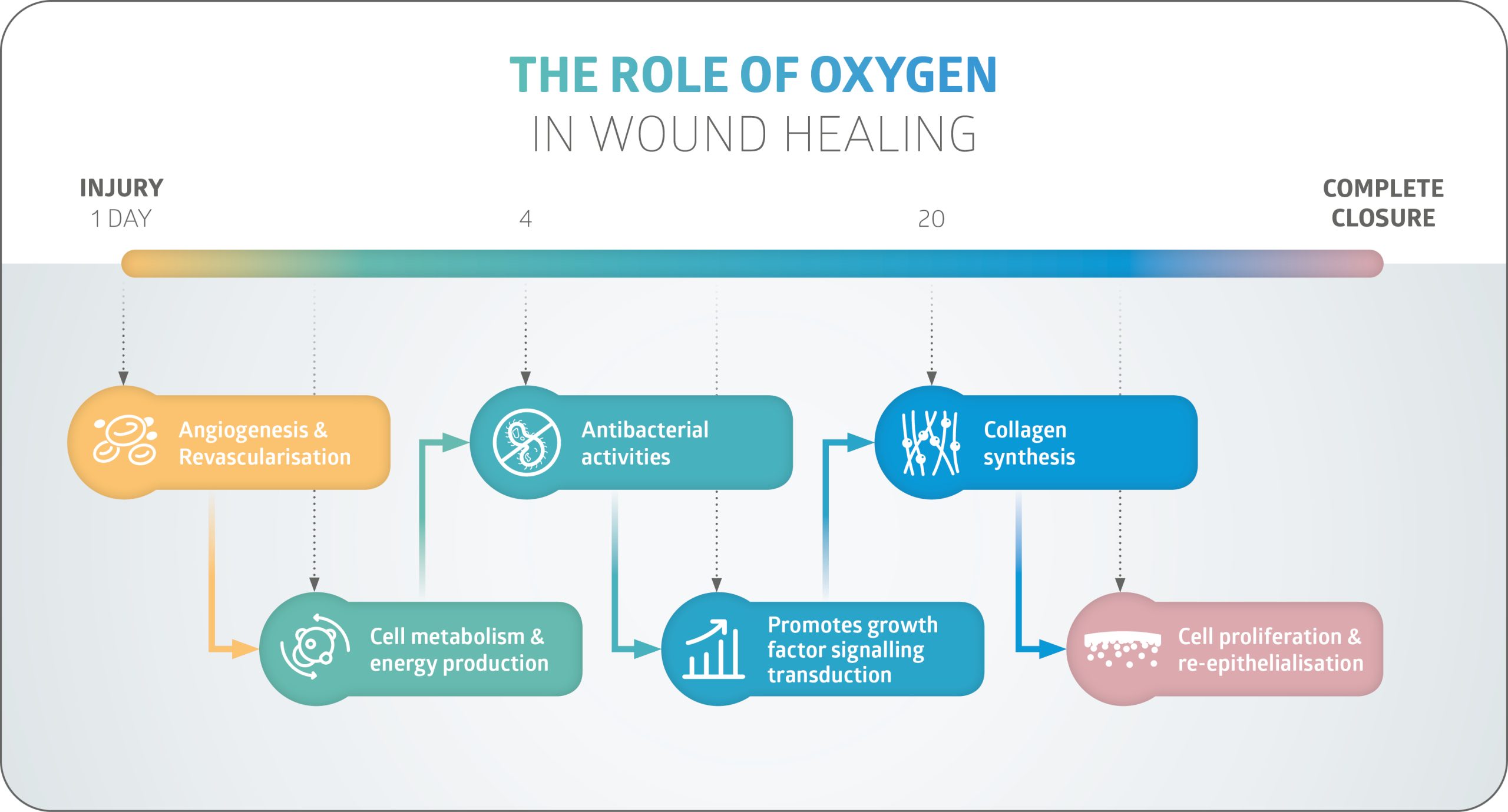 Diagram: the role of oxygen in wound healing, from injury to complete closure
