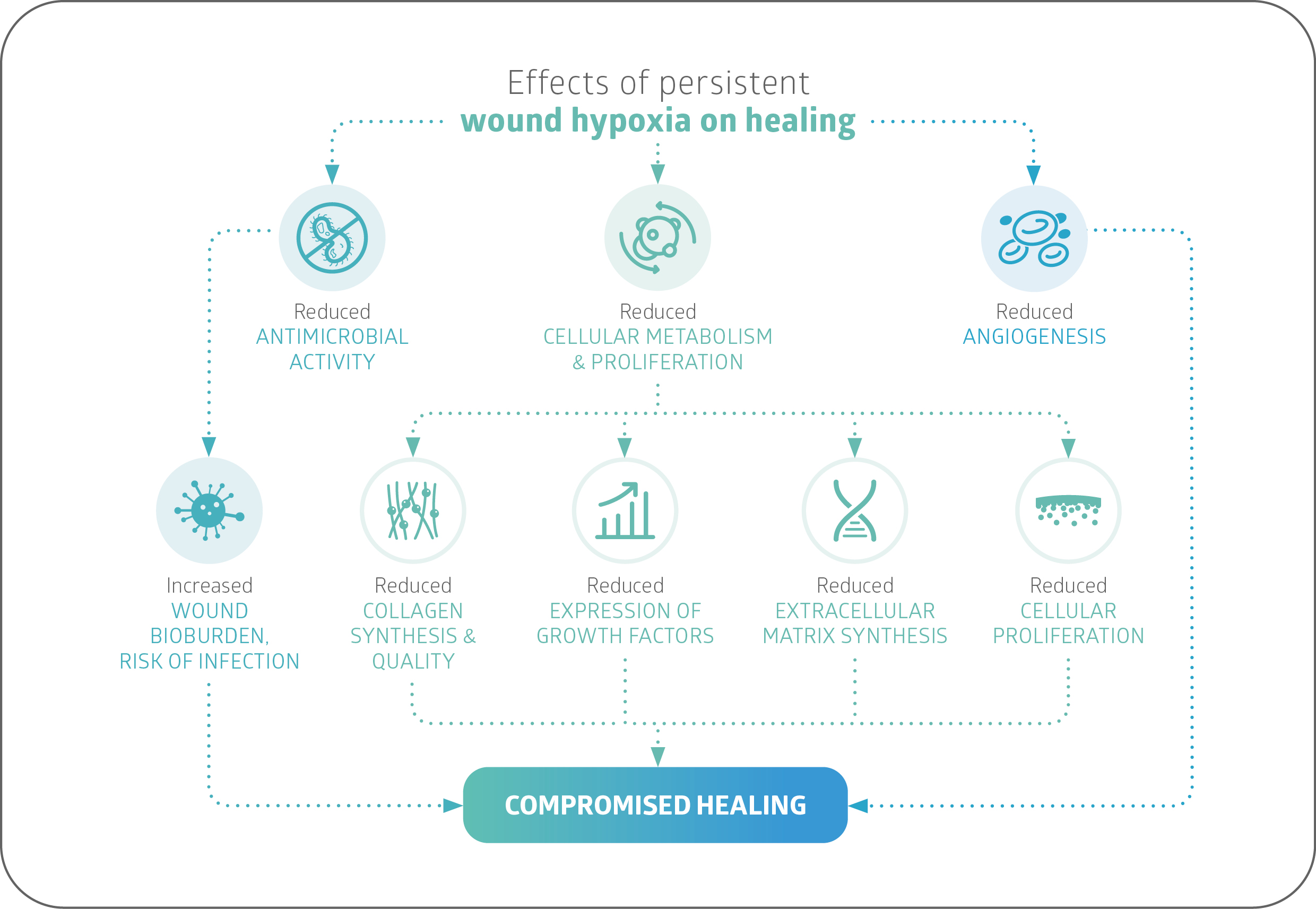 Diagram: the effects of persistent wound hypoxia on healing