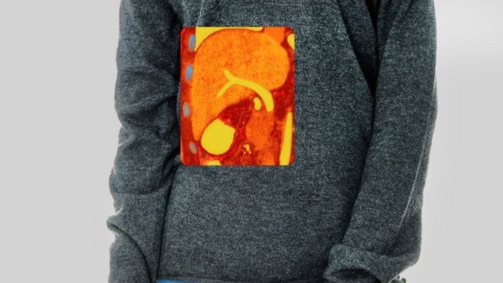 the midsection of a person with a Quibim scan of the liver overlaid, showing the QP Liver functionality.