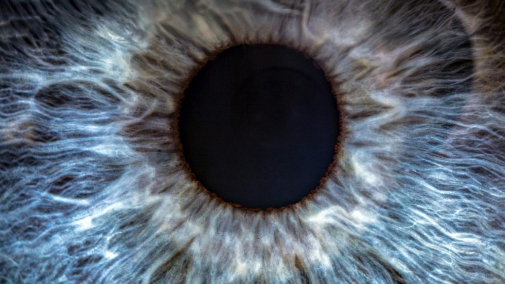 a macro image of the human eye which shows the iris. This image is representative of Tobii technology which tracks the human eye for intent analytics and to enable human-machine interaction with mobile and personal devices.