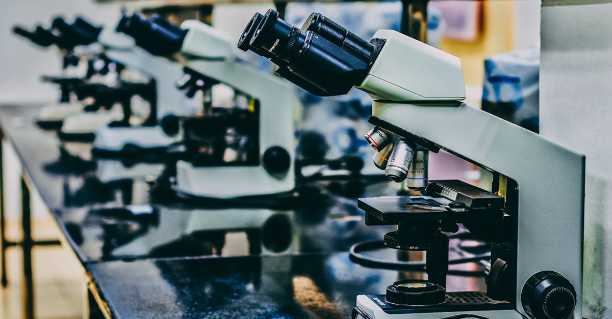 A row of microscopes on a lab bench.